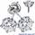 Flower designers stud earrings, 6 prongs