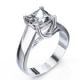 CrissCross (The Lucida ) For Princess and Asshers