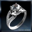 Designers engagement ring