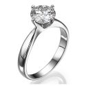 Princess and Rounds Compass Engagement Ring