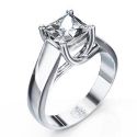 CrissCross (The Lucida ) For Princess and Asshers