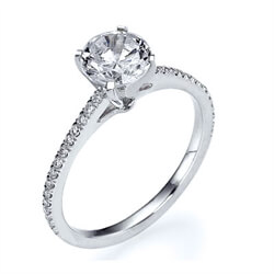 Picture of The Delicate engagement  ring settings, 