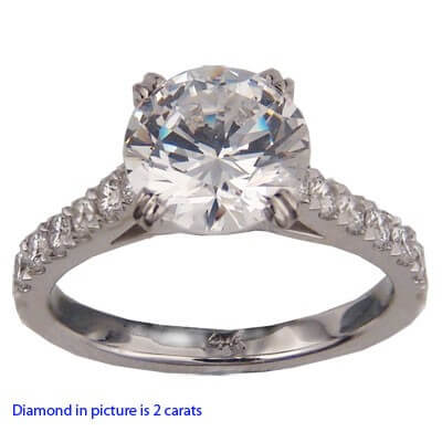 Engagement ring with 1/2 Carat side diamonds