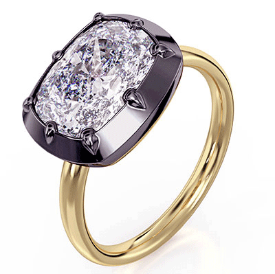 Compromiso inferior del botón Zendaya