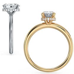 Picture of Oval Engagement ring hidden halo setting