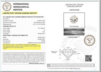 Certificación Certificación